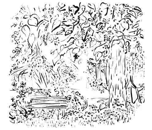 Freihand Skizze Schwarz Weiss. Die mit Pinsel angefertigte Tusche Illustration zeigt das Detail eines wilden Naturgartens. Eine Bank wird von Blätter und Gräser umrahmt. An dem Stamm eines Baumes ist eine Schubkarre angelehnt. Die Zeichnung ist mit Pinsel und Feder gezeichnet.    