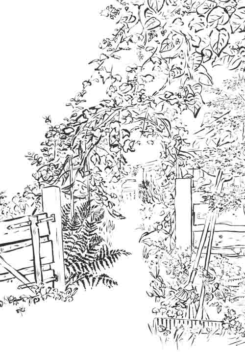 Tusche Zeichnung eines Gartentores, das offen steht und den Blick in einen üppigen Garten erlaubt. Am Zaun daneben lehnt ein Rechen und eine Harke.